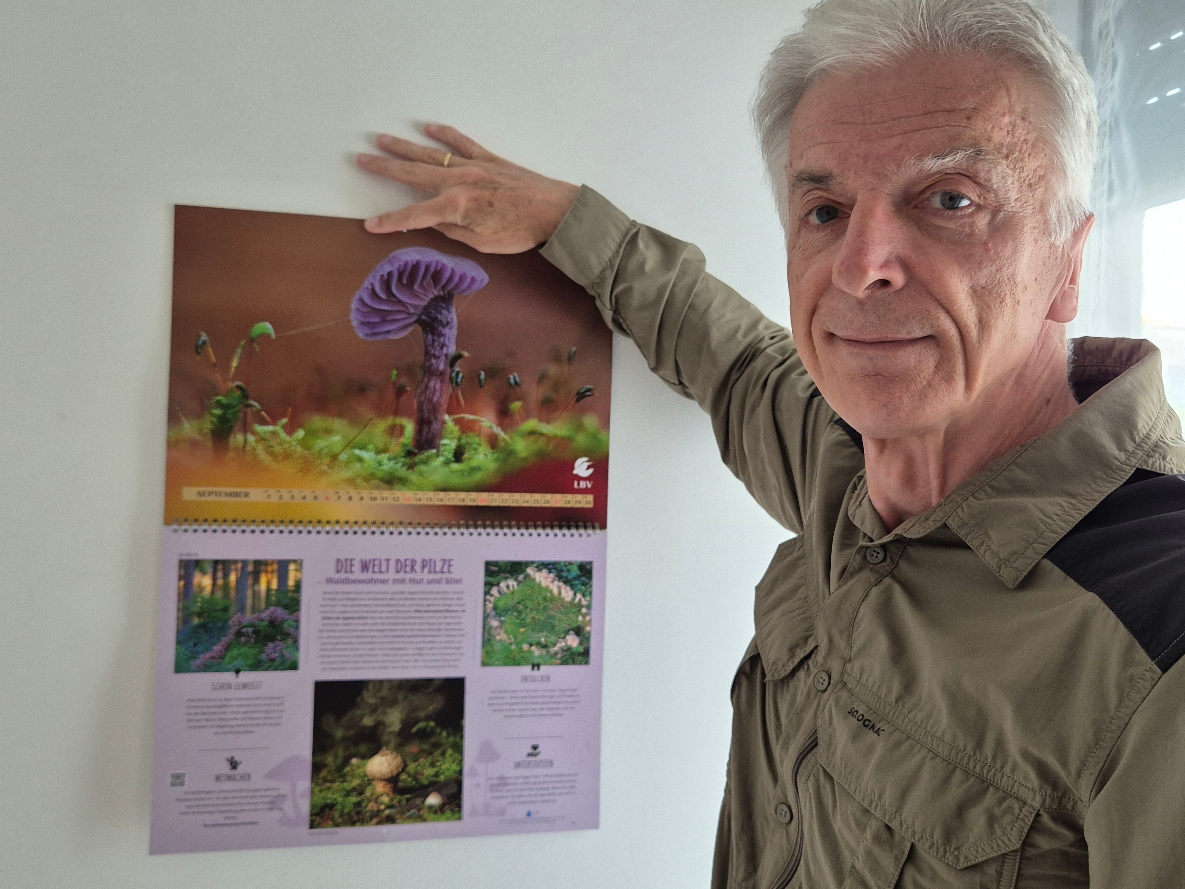 Wenn man den Monat September des LBV-Kalenders aufschlägt, sieht man mein Monatsbild vom Violetten Lacktrichterling (Laccaria amethystina).
Und noch andere Pilzfotos von mir.