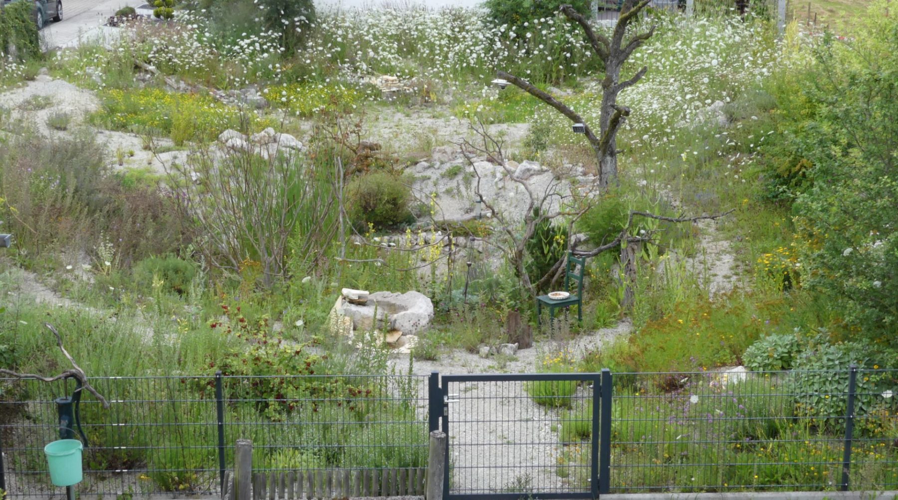57+ Vogelfreundlicher Garten Kriterien, Wer den eigenen garten