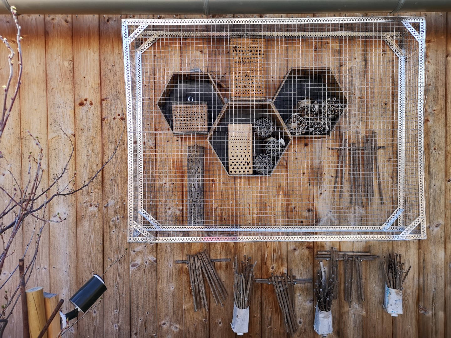 Neue Beobachtungskamera Beecam Biotopgarten